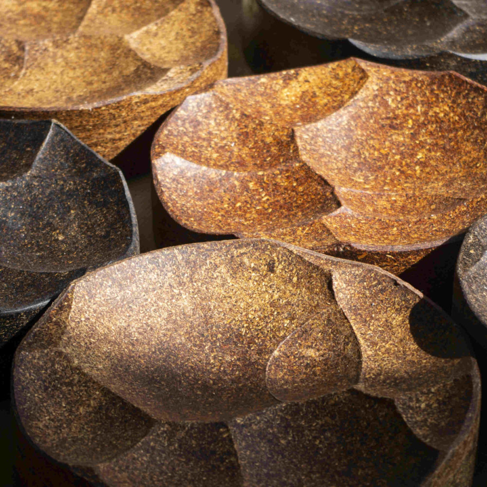 Corymbe Boutures D Objets